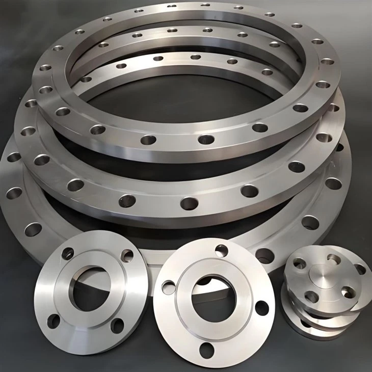 Titanium Flanges